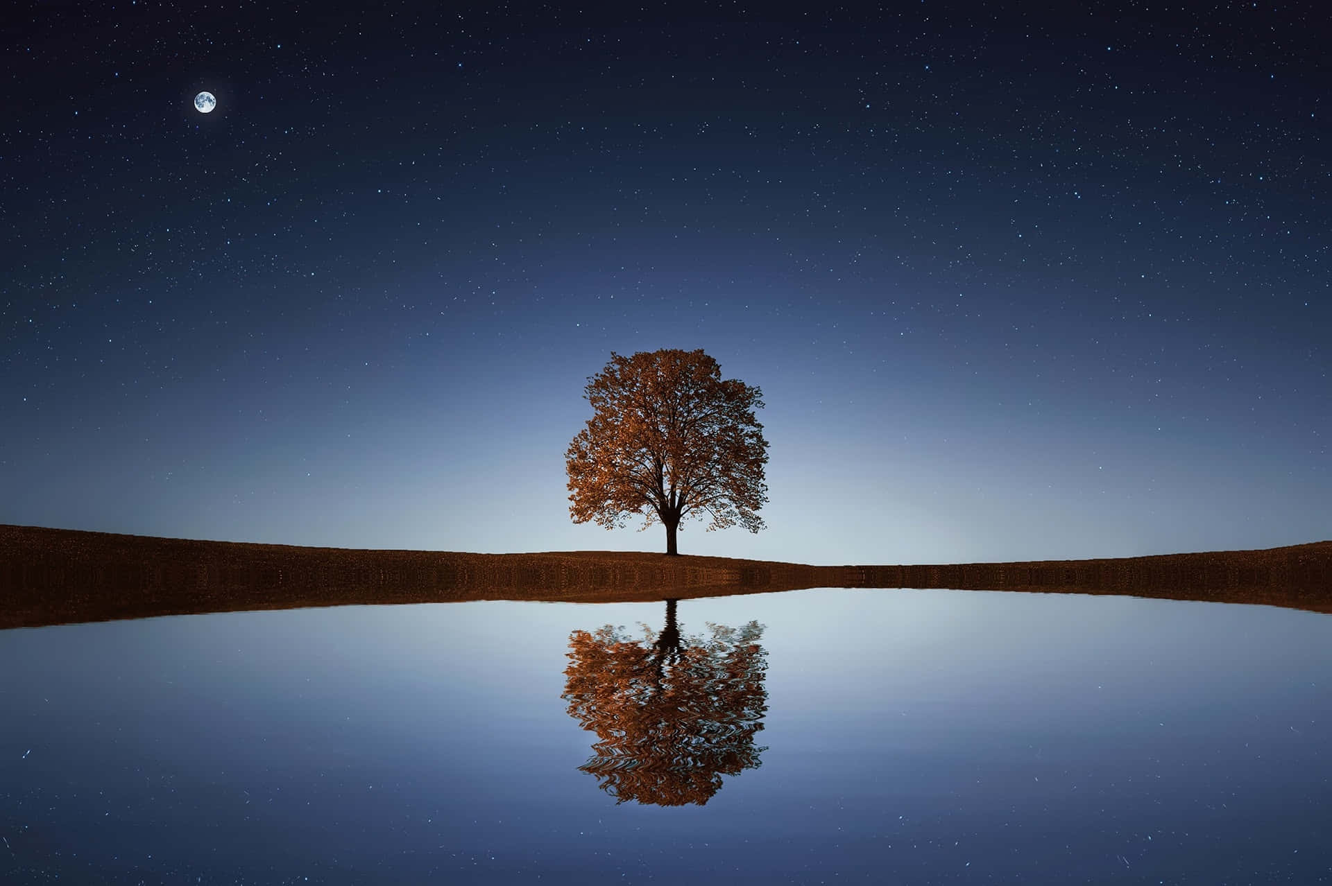 Solitary Tree Night Sky Reflection Background