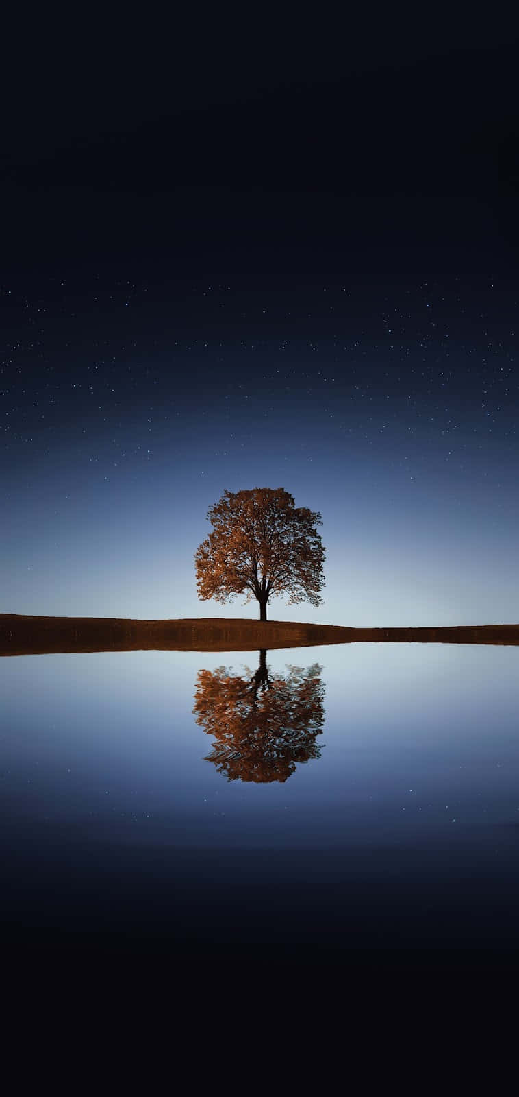 Solitary Tree Starry Night Reflection Background