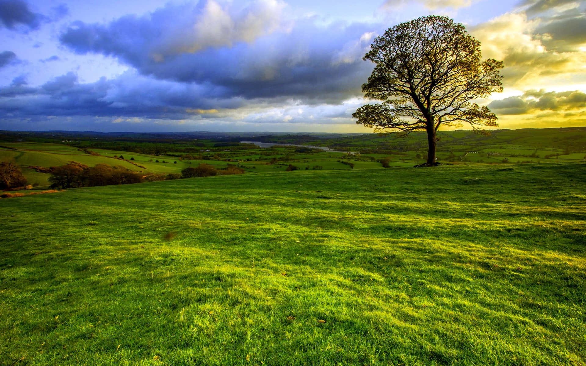 Solitary Tree Sunset Landscape.jpg Background