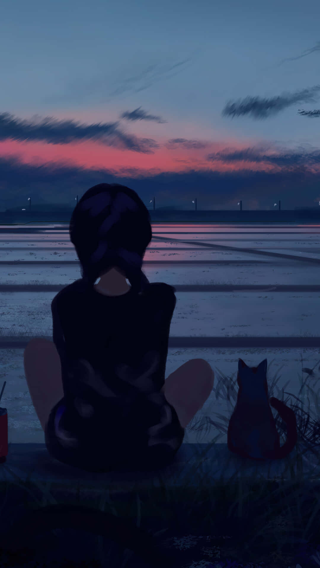 Solitude_at_ Sunset_ Anime Background