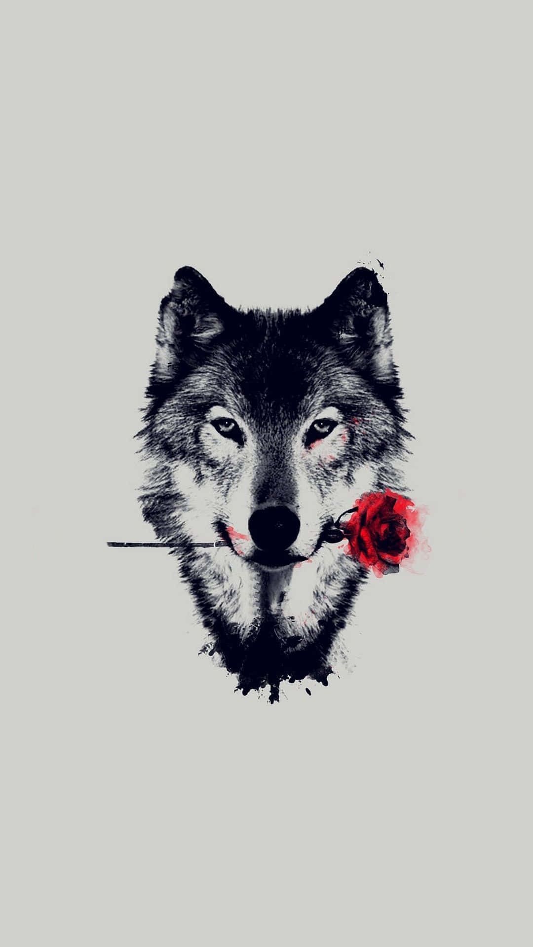 Solitude With The Wolf Background