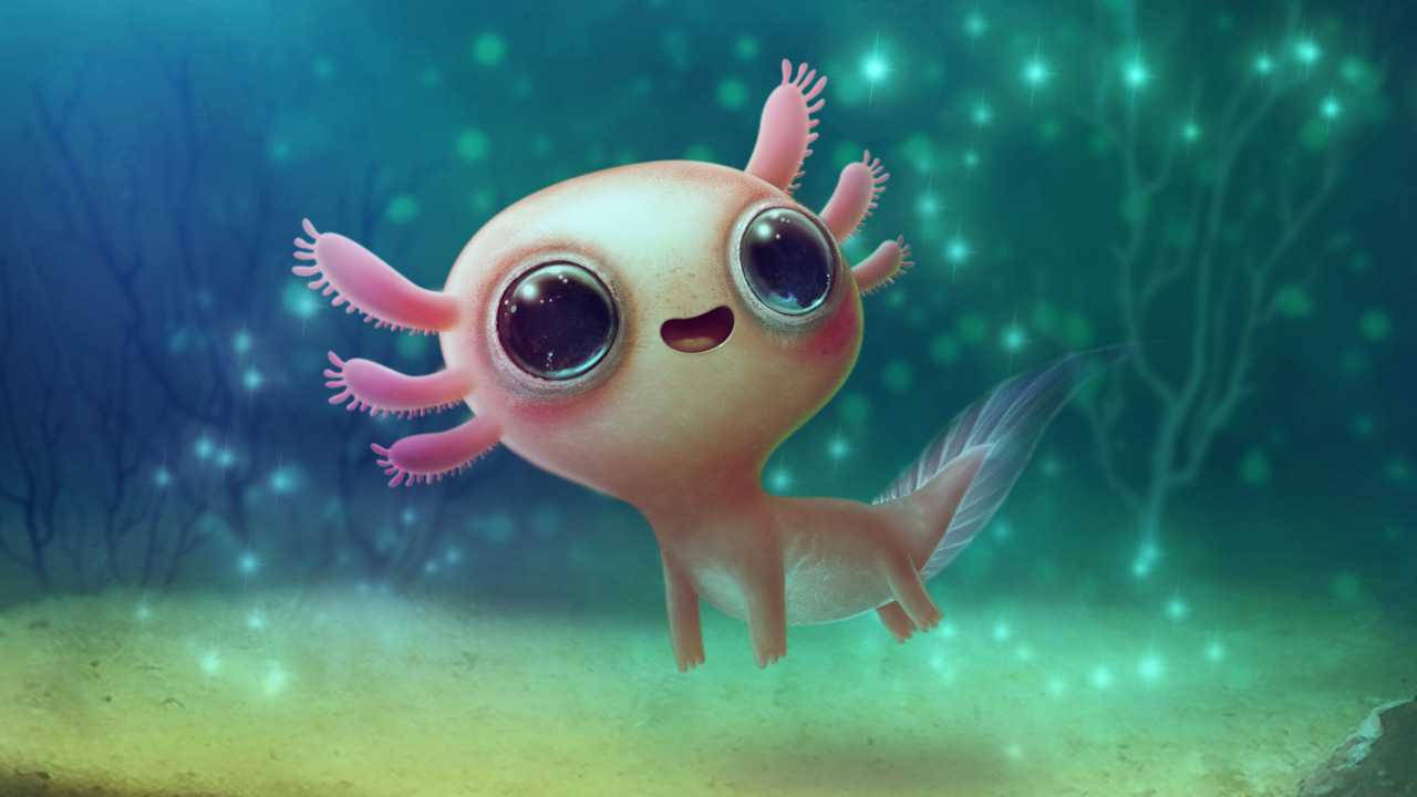 Solo Axolotl As Cute Aesthetic Pc Screen Background