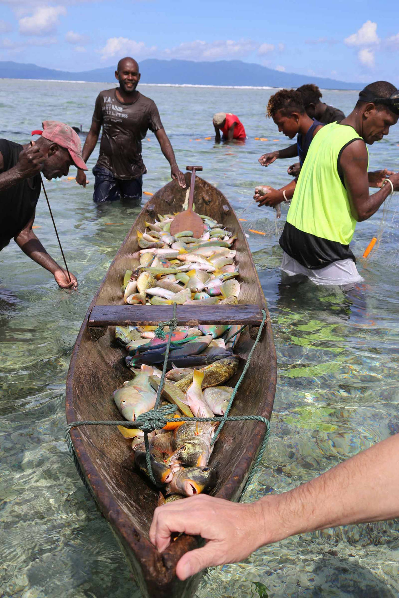 Solomon Islands Boat Full Of Catch Background