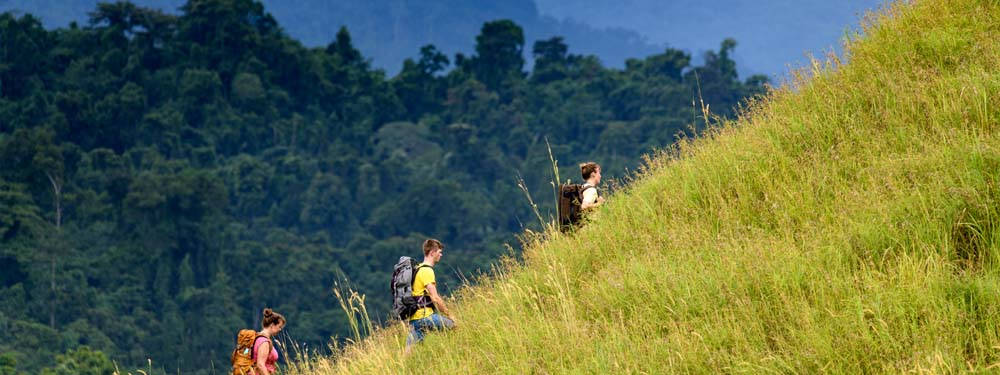 Solomon Islands Mountain Climbing Background