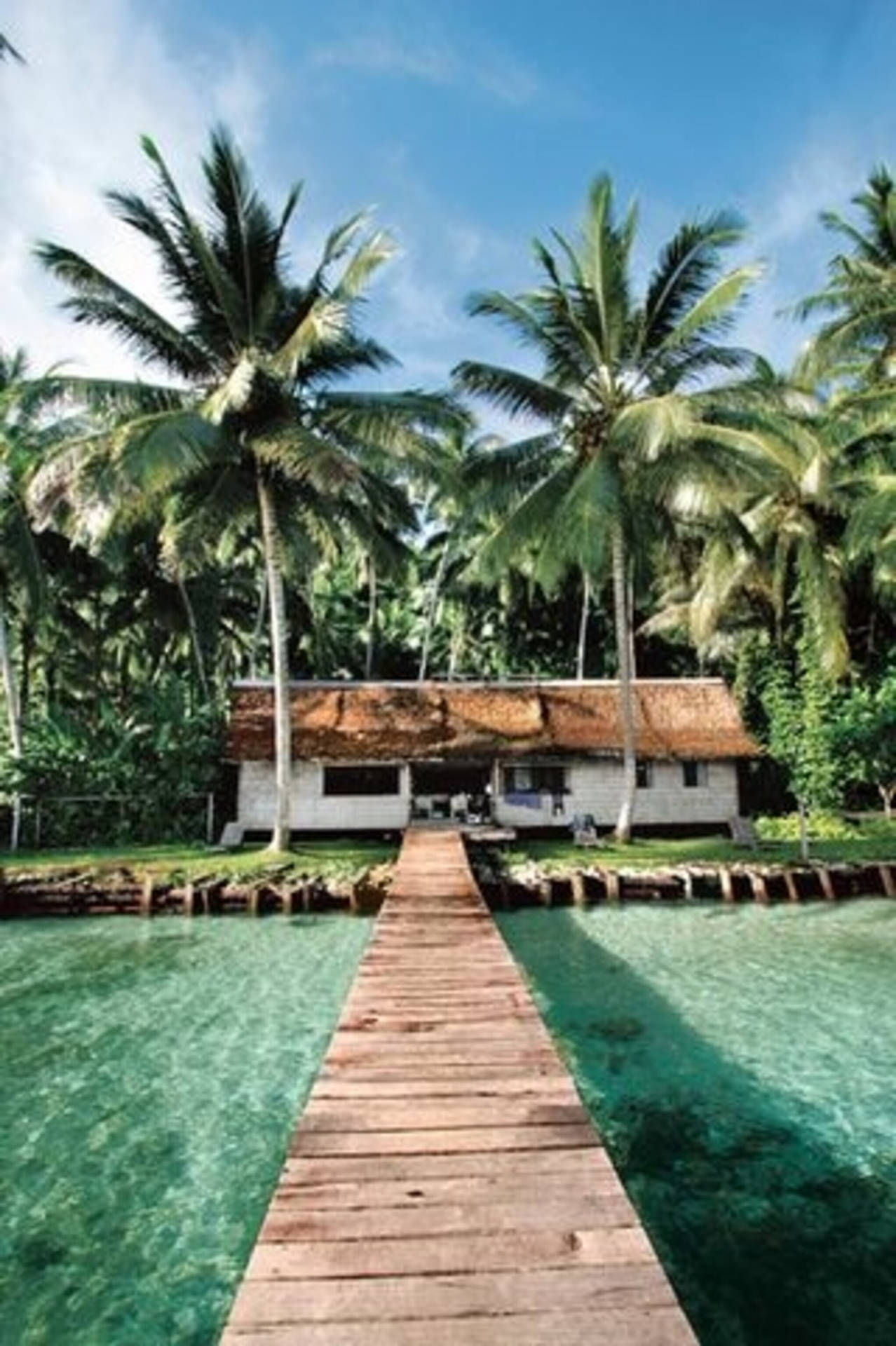 Solomon Islands Pathway To The Sea Background