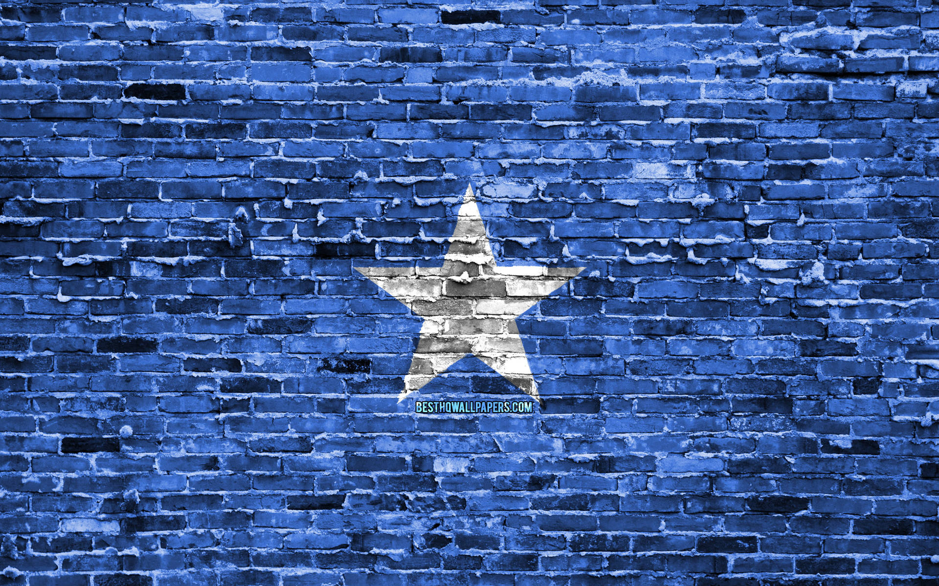 Somalia Flag Digital Brick Wall Background