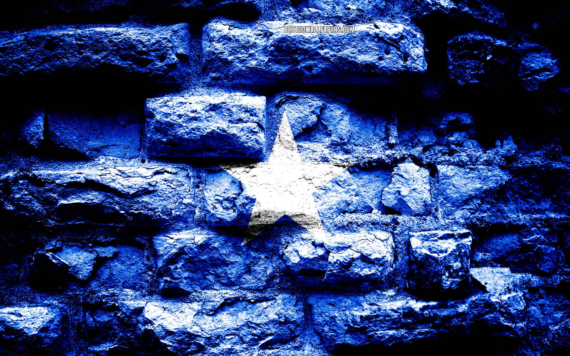 Somalia Flag Realistic Brick Wall Background
