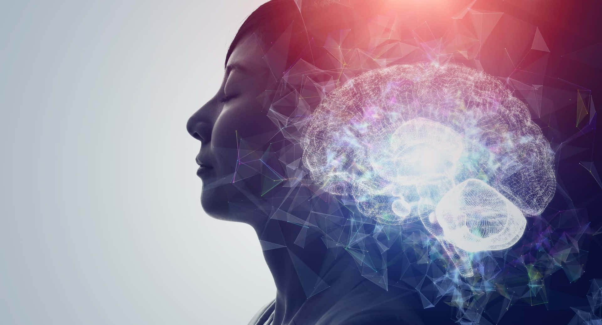 Somatic Brain Of Woman Background
