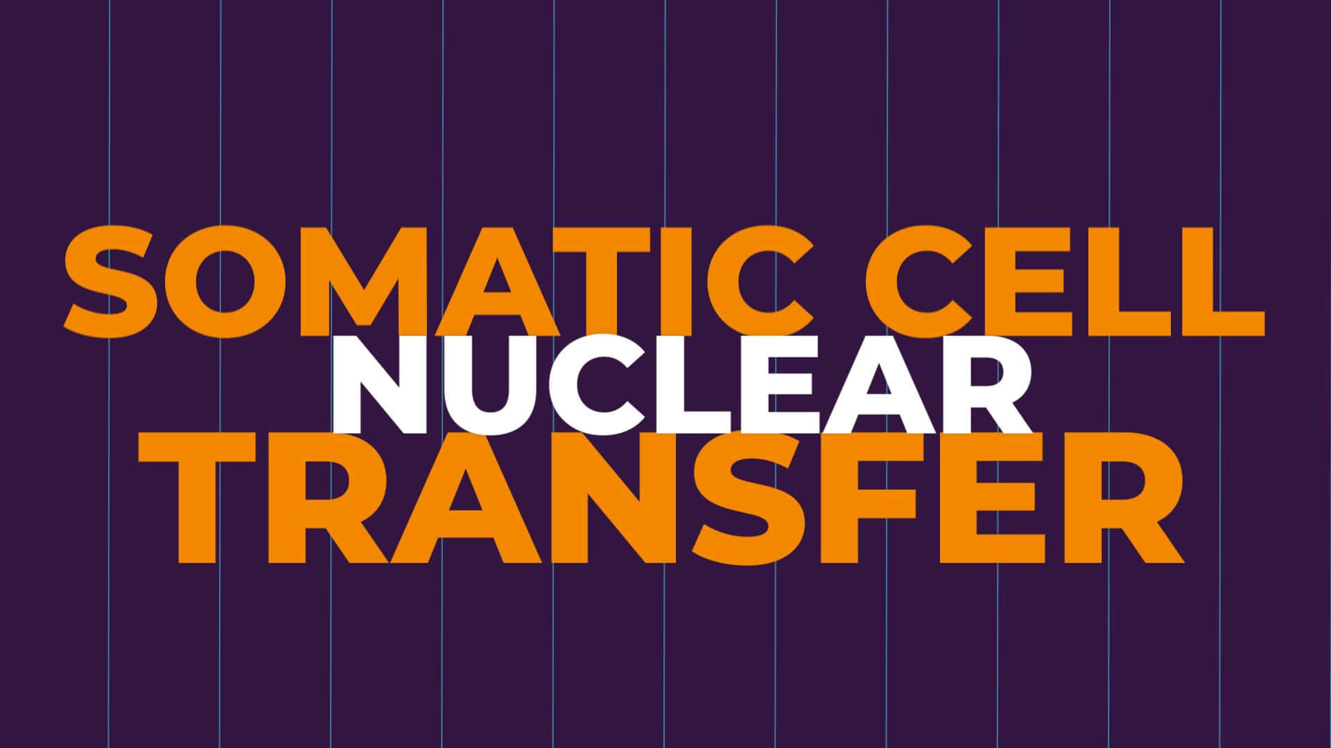Somatic Cell Nuclear Transfer Background