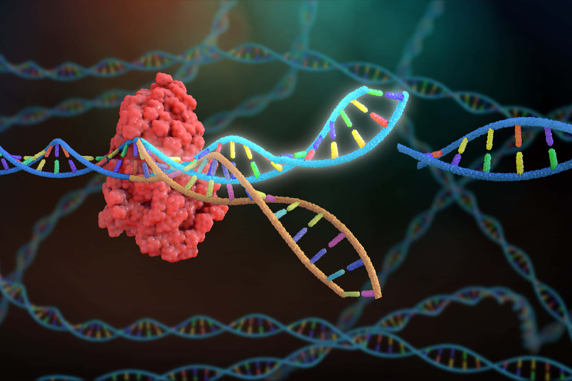 Somatic Colorful Dna Background