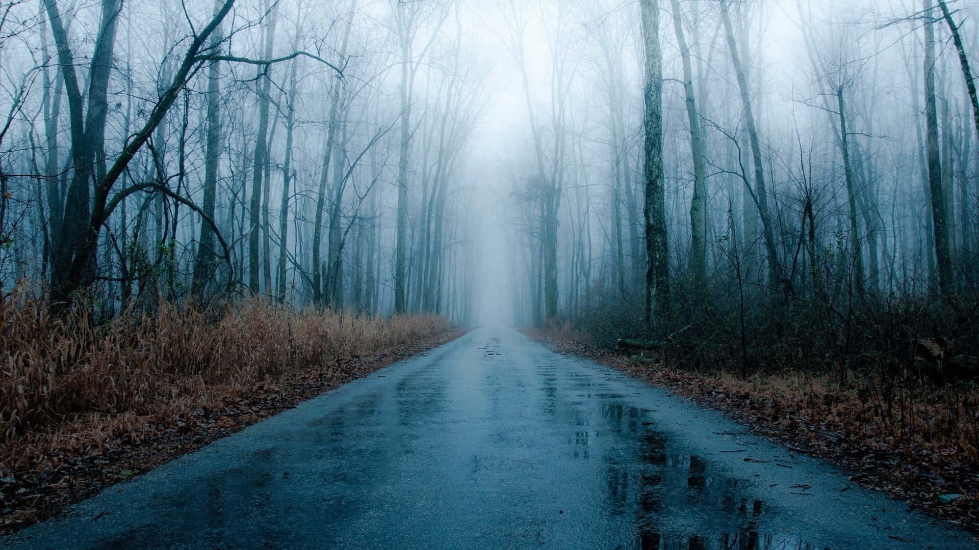 Somber Motion Of The Place Background