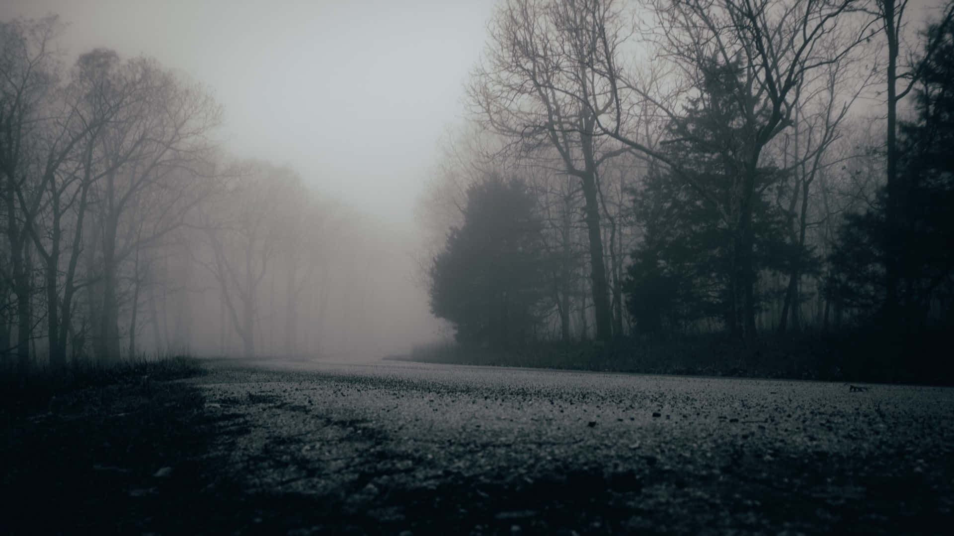 Somber Scenery In The Road Background