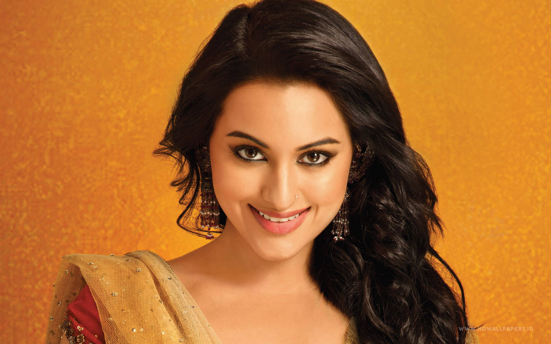 Sonakshi Sinha Ravishing Beauty Background