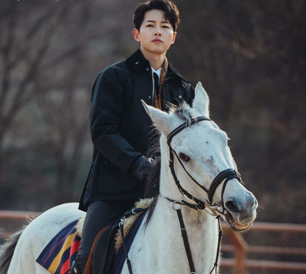 Song Joong Ki [wallpaper]