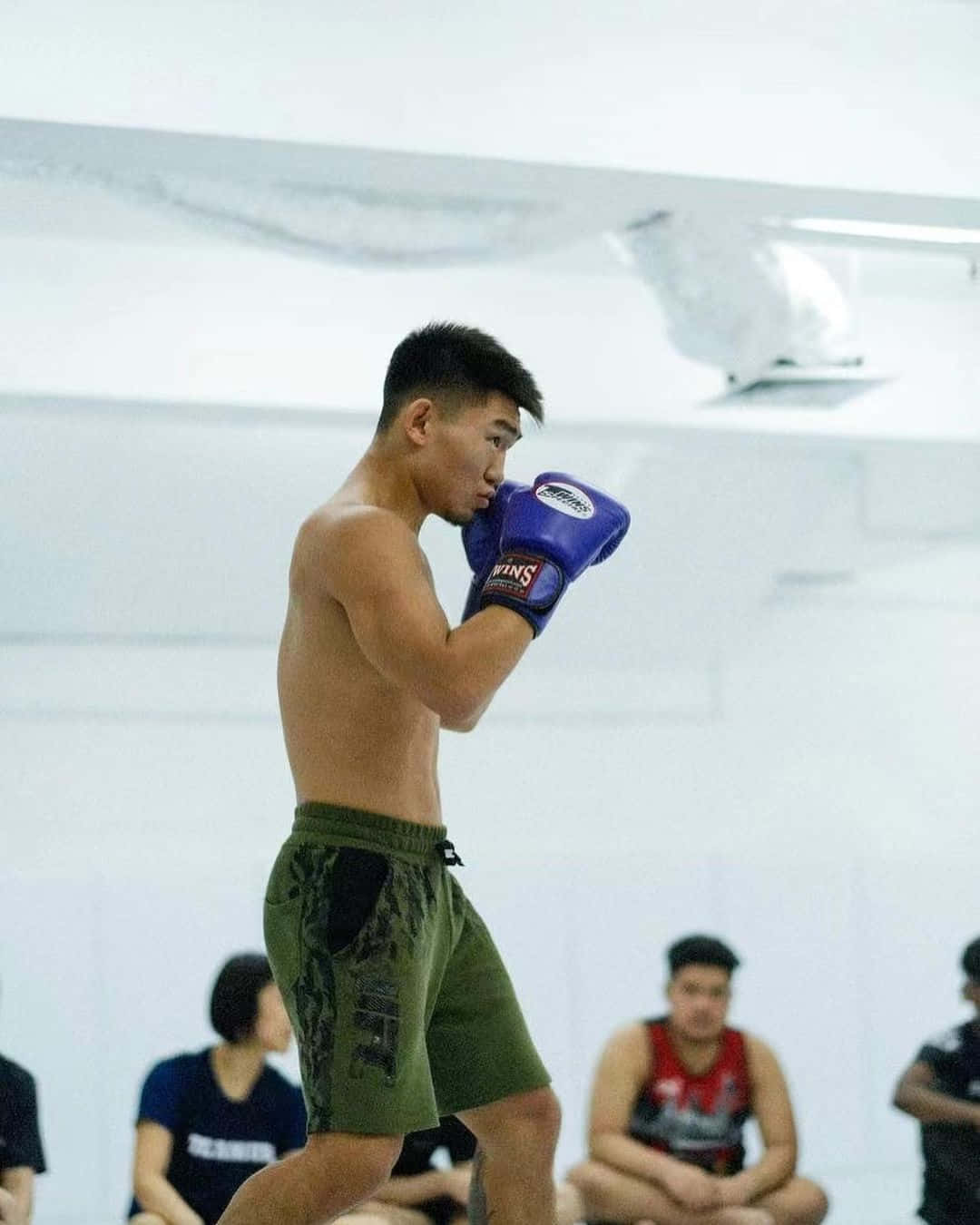 Song Yadong Boxing Side Profile Background