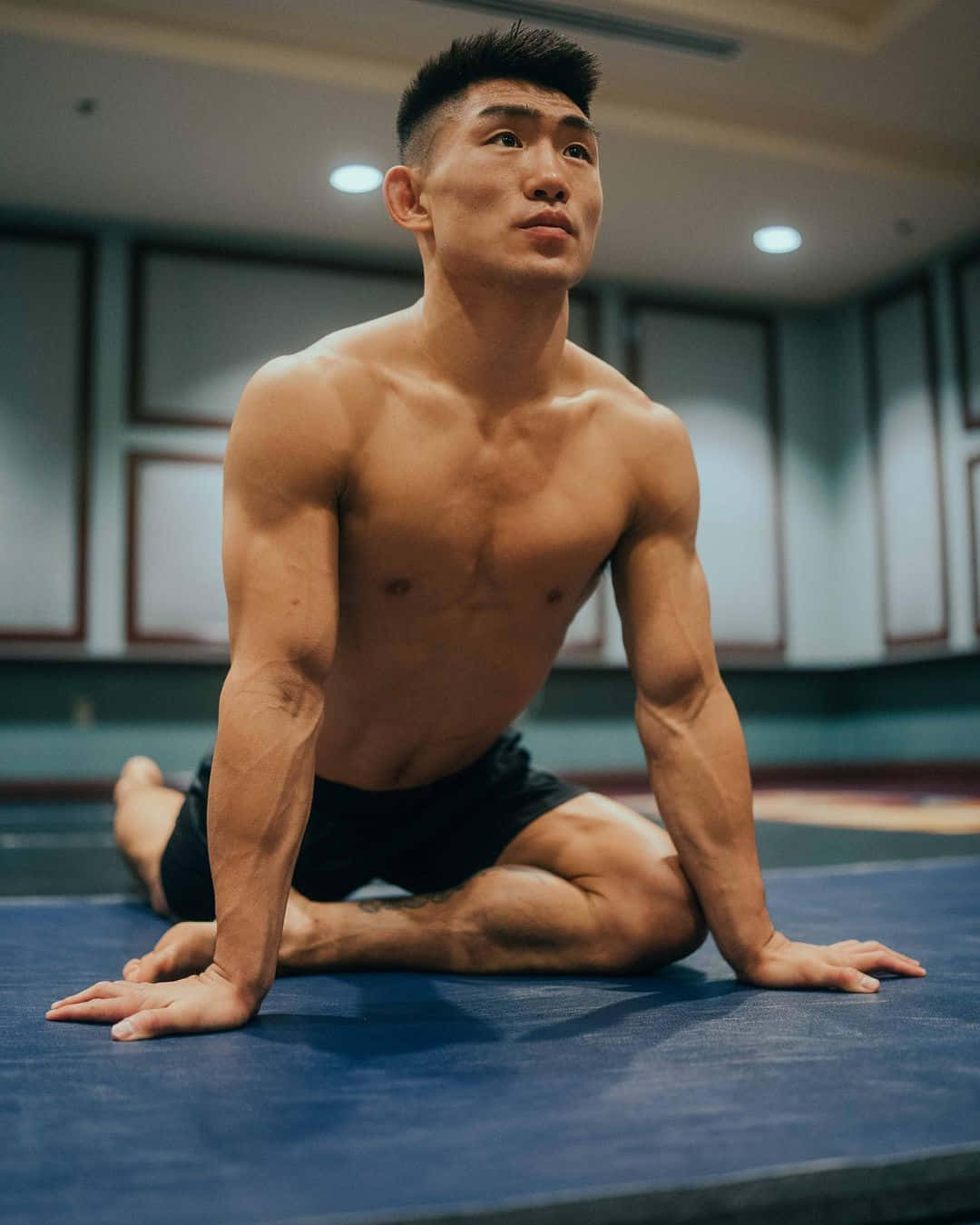 Song Yadong Pigeon Pose Background