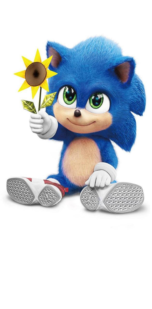 Sonic_ Holding_ Sunflower_ Pfp.jpg Background