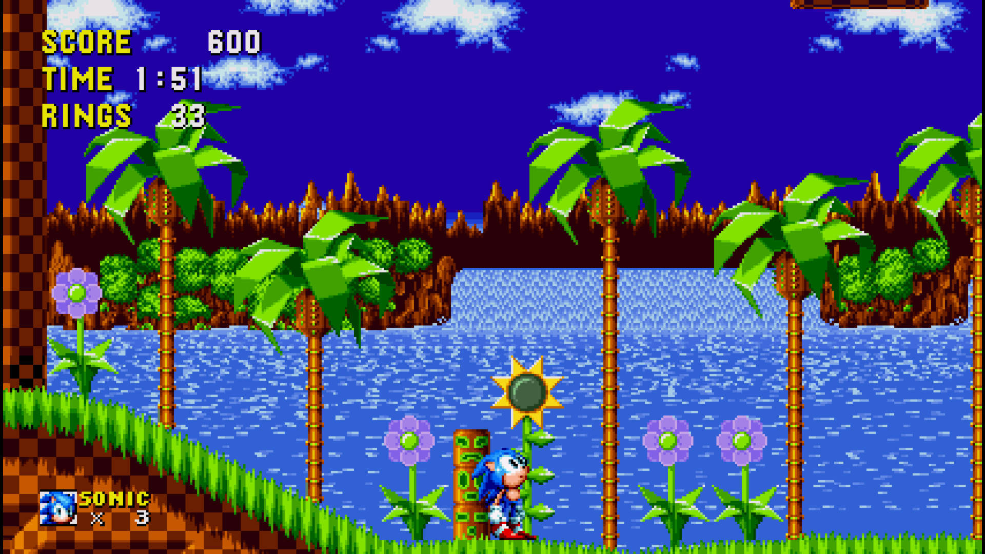 Sonic Looking At Green Hill Zone Flower Background