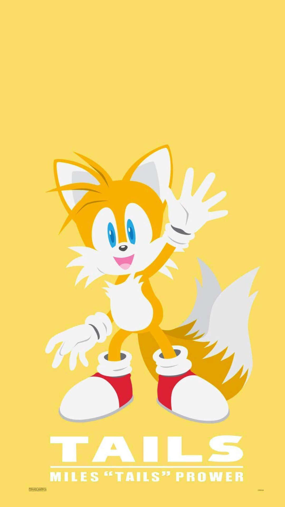 Sonic's Trusty Sidekick Tails Background