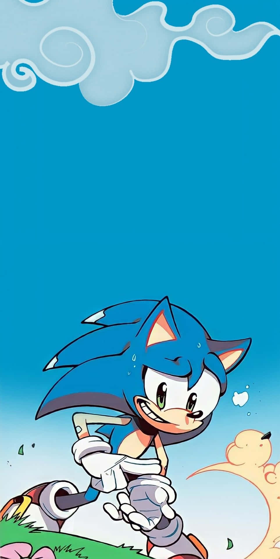 Sonic The Hedgehog By Sonic The Hedgehog