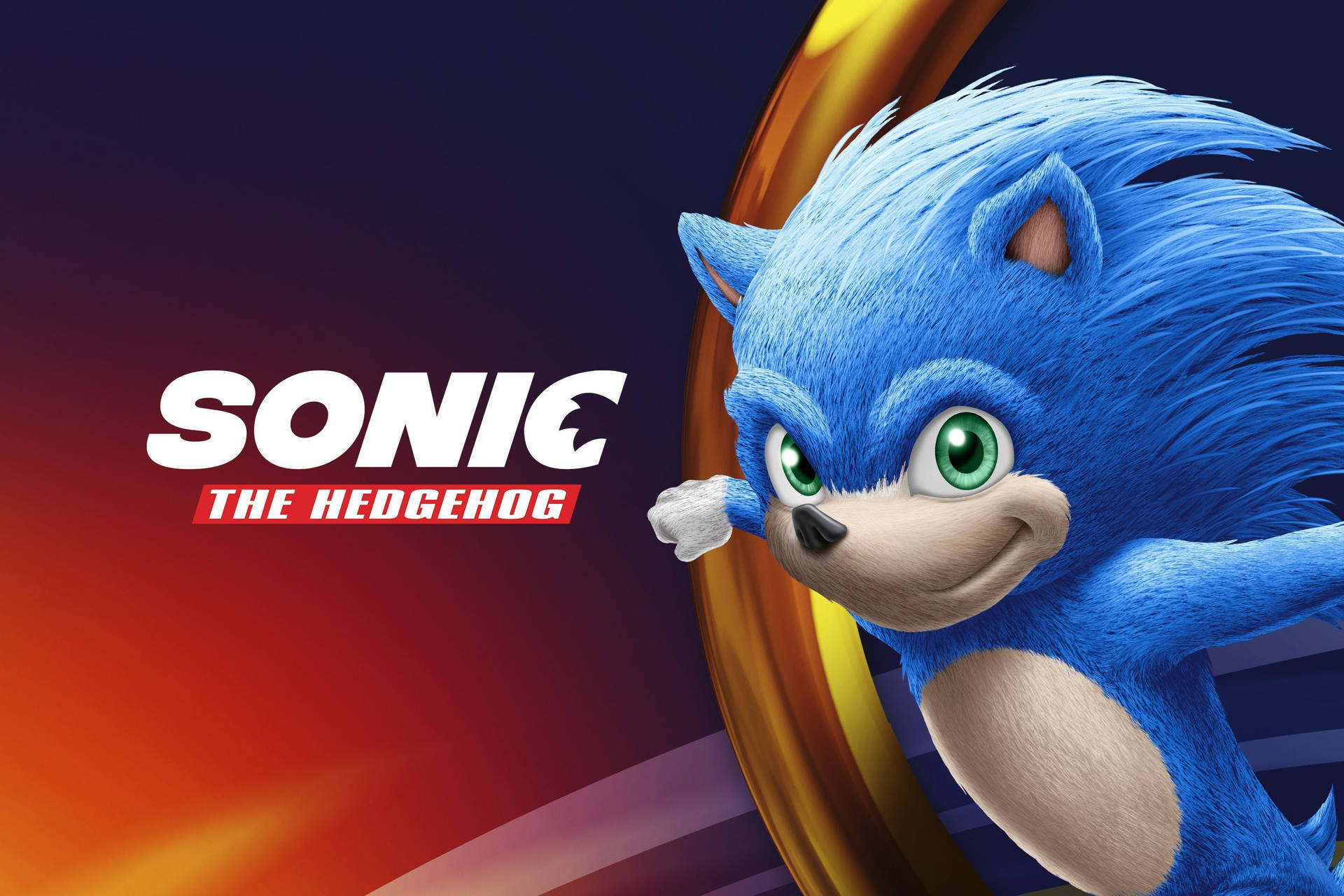 Sonic The Hedgehog New Game Background