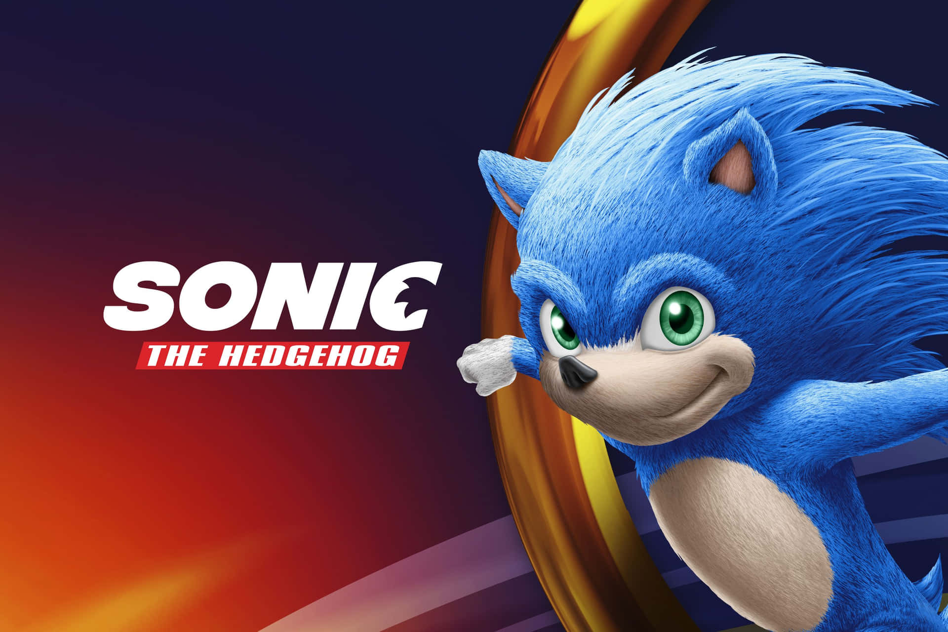 Sonic The Hedgehog Races Against Time