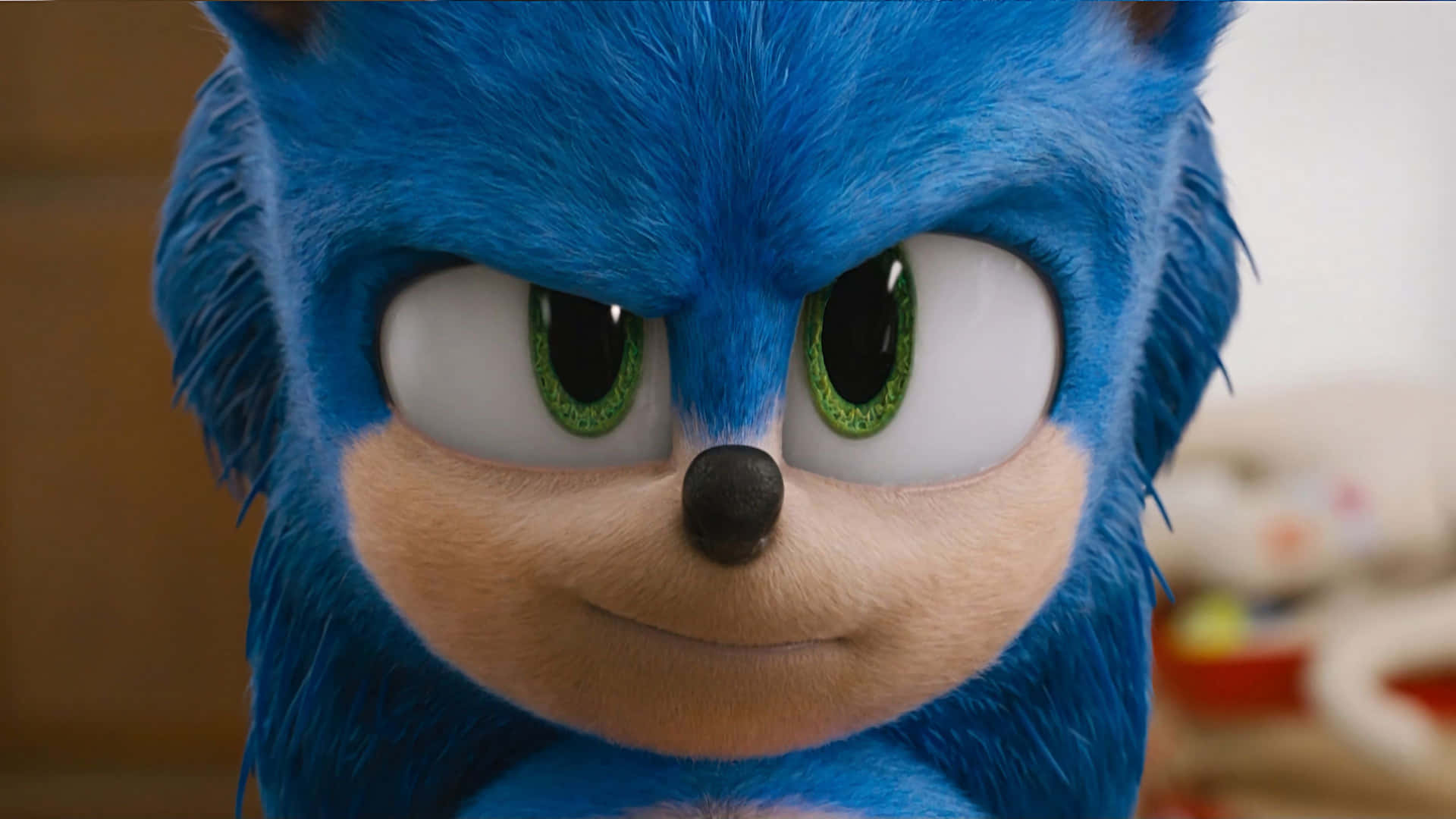 Sonic The Hedgehog - Sonic The Hedgehog - Sonic The Hedgehog - Sonic The Hedgehog -