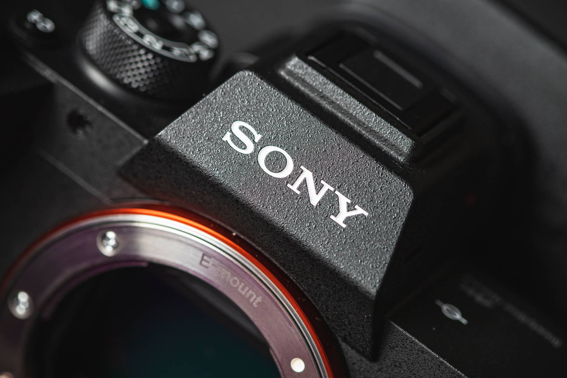 Sony Dslr Close-up