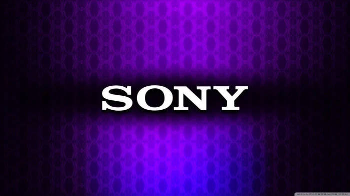 Sony Logo Black And Purple Background