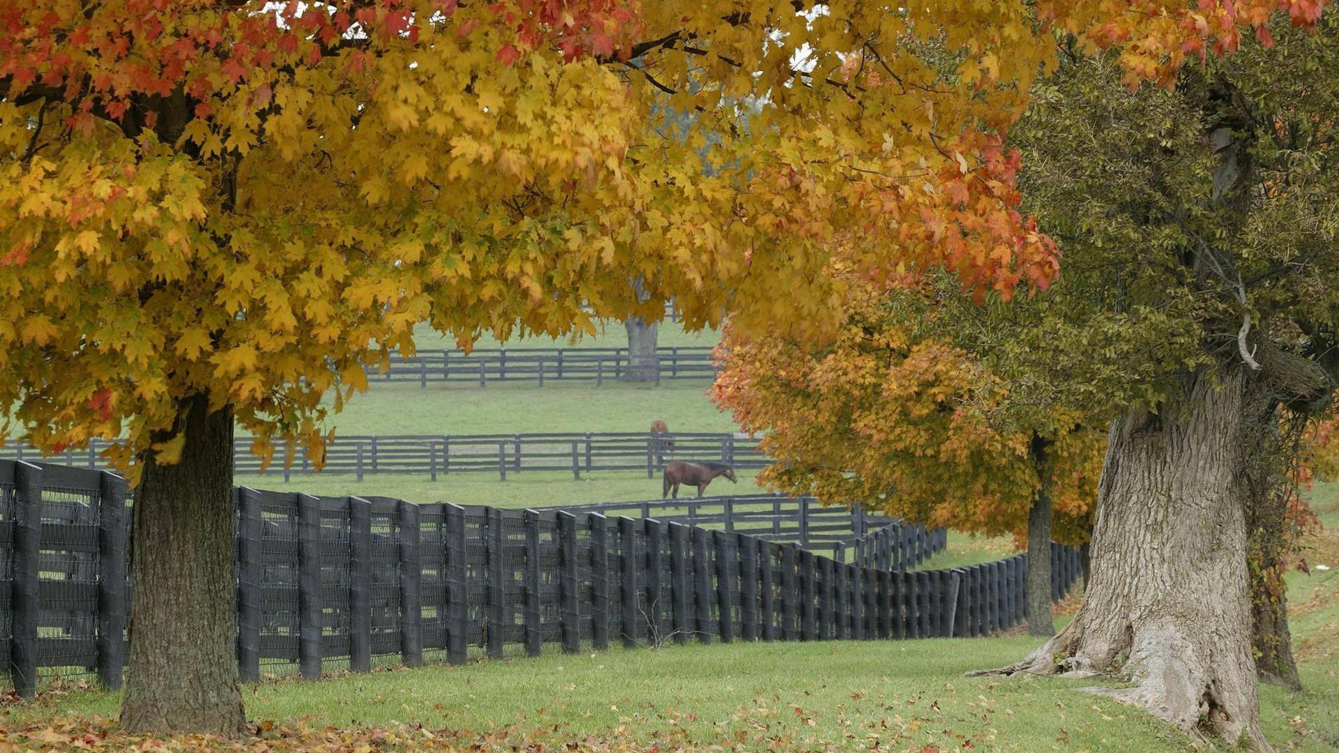 Soothing Farm Desktop Background