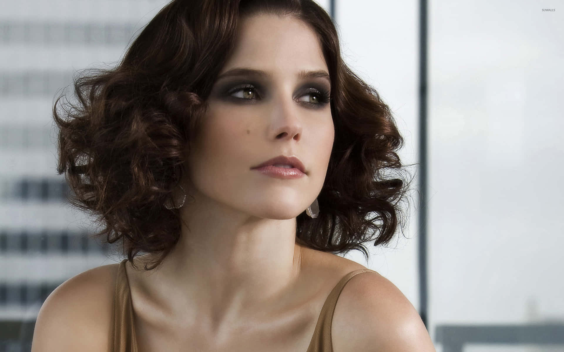 Sophia Bush Is A Multifaceted Talent With A Famously Successful Career Background