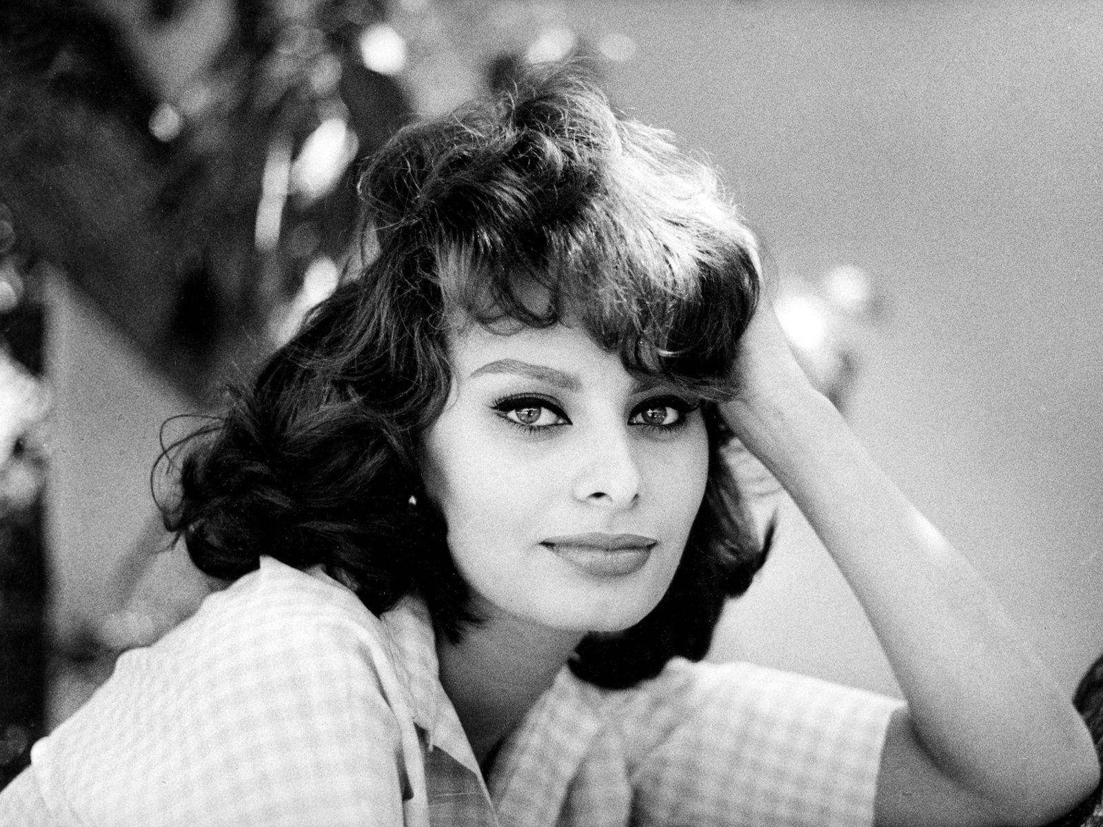 Sophia Loren Artistic Photo