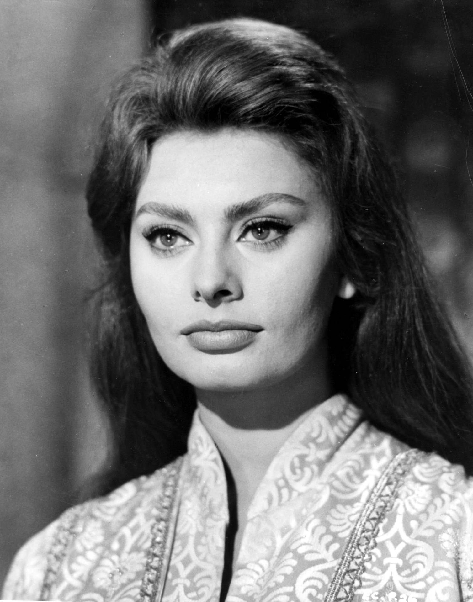 Sophia Loren As Chimene Background