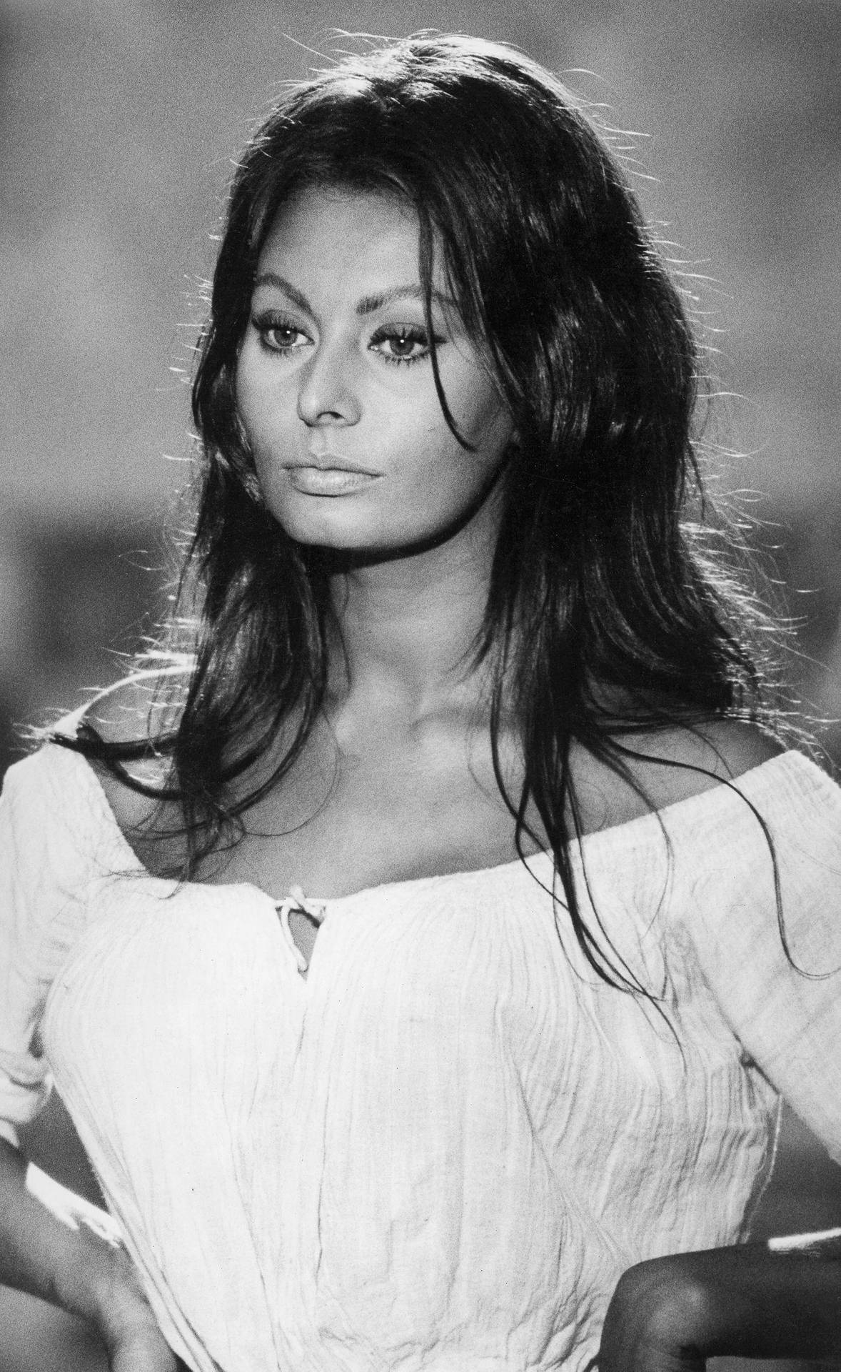 Sophia Loren As Isabella Candeloro Background