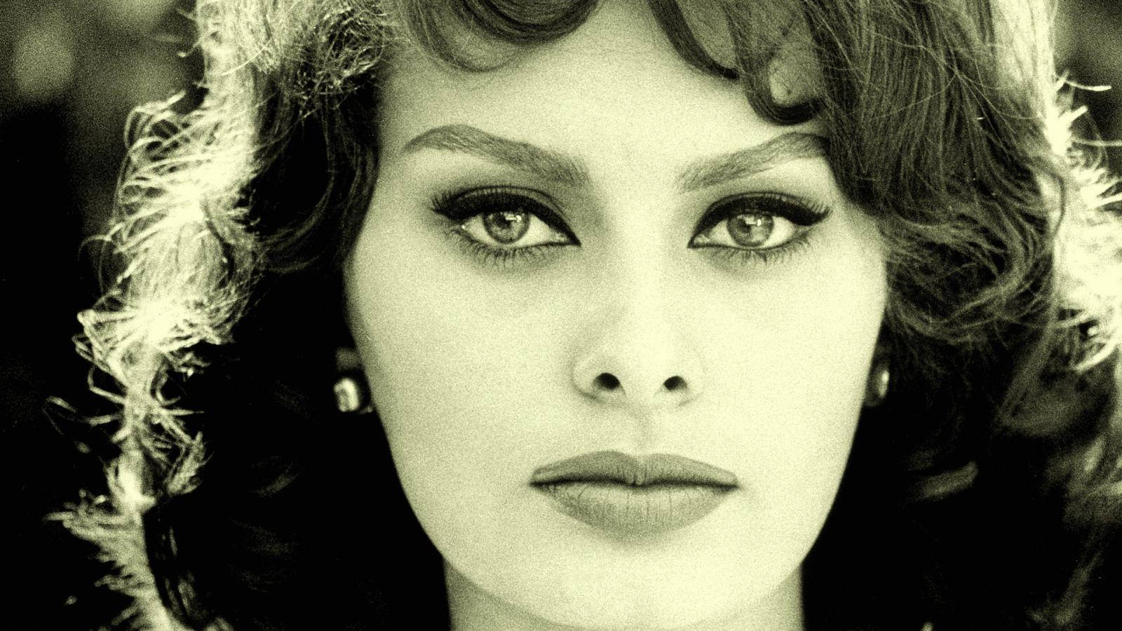 Sophia Loren Beautiful Headshot 1964 Background