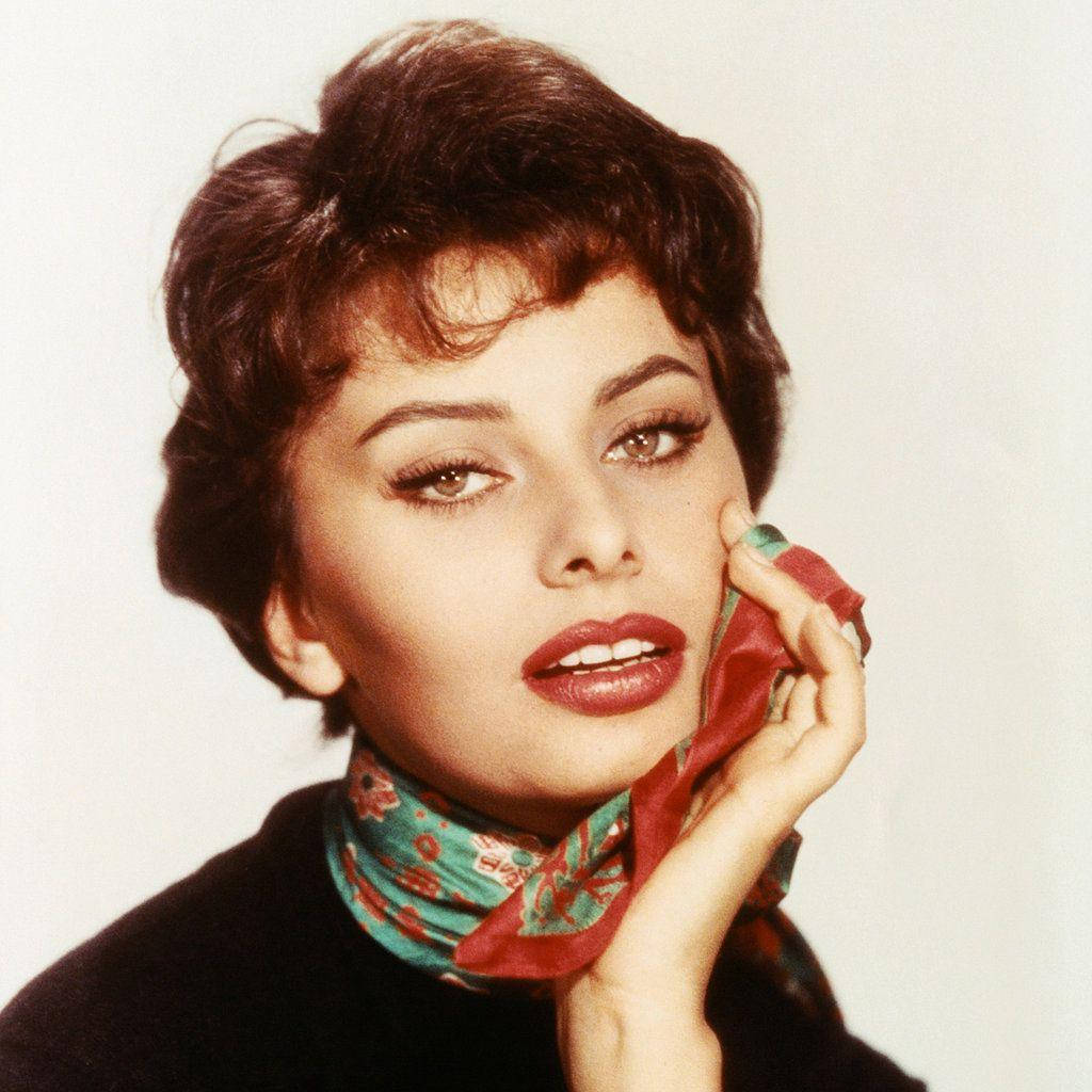 Sophia Loren Colored Headshot Background