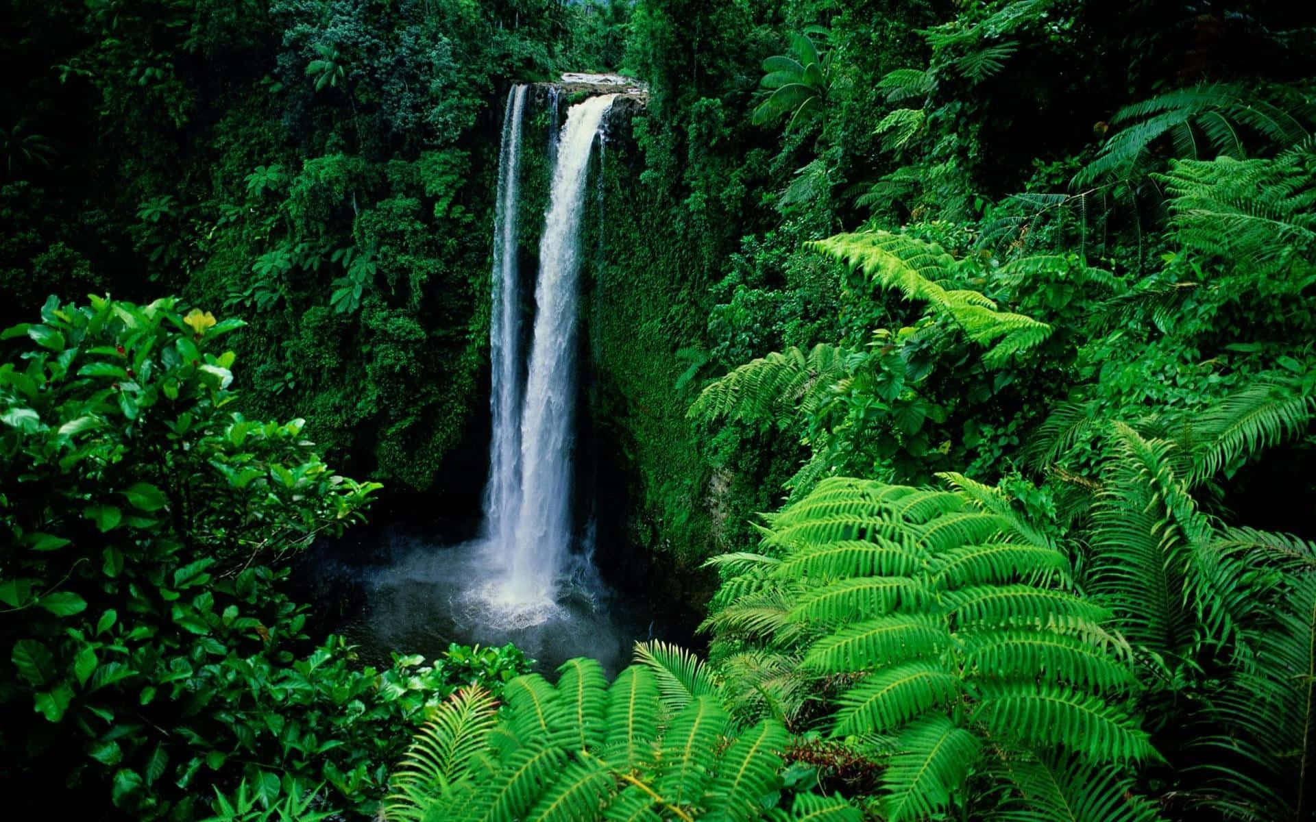 Sopoaga Falls Samoa Waterfall Desktop Background