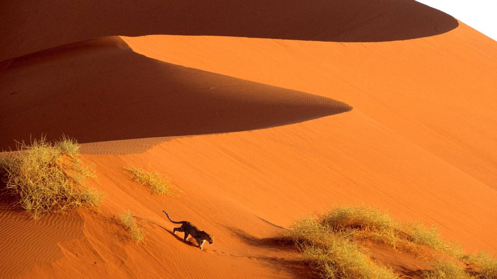 Sossusvlei Namibia Background