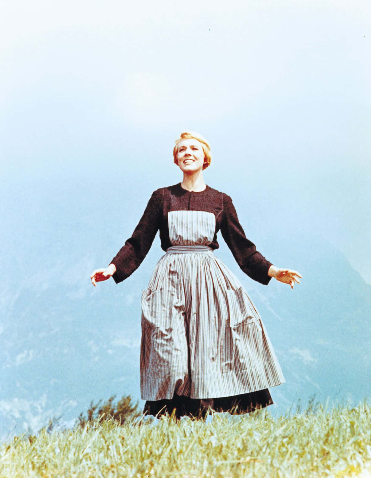 Sound Of Music_ Meadow Twirl Background