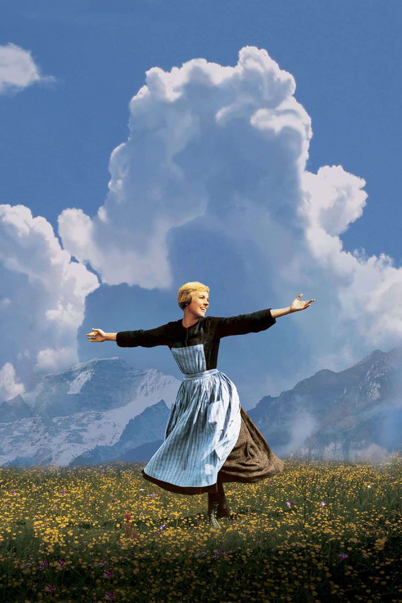 Sound Of Music_ Meadow Twirl Background