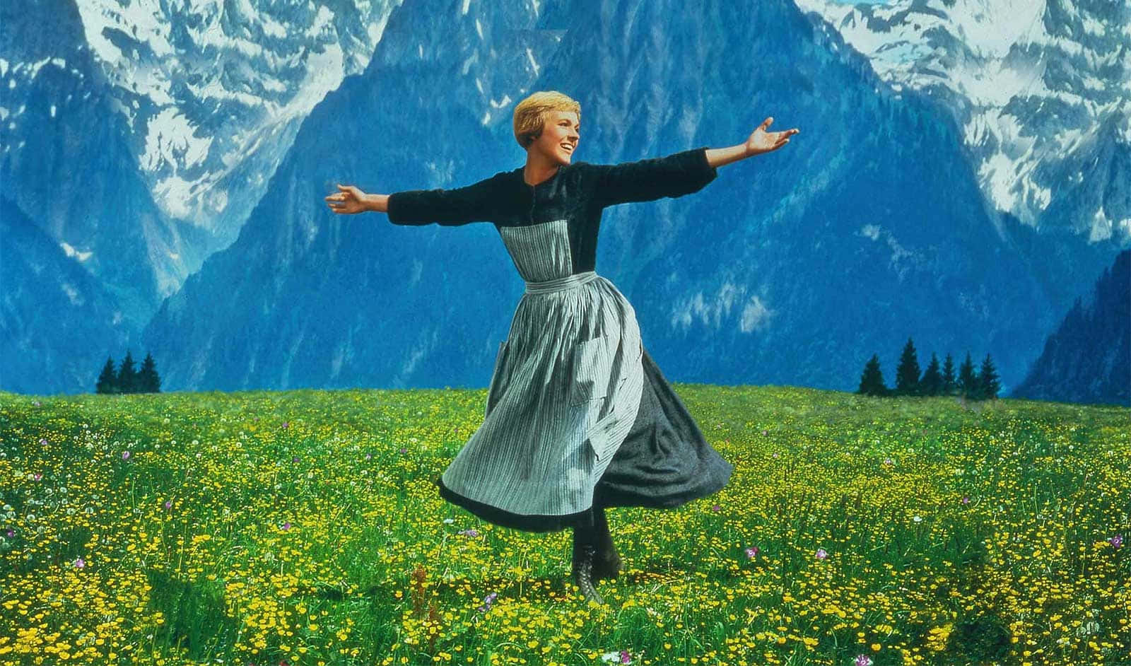 Sound Of Music_ Meadow Twirl Background