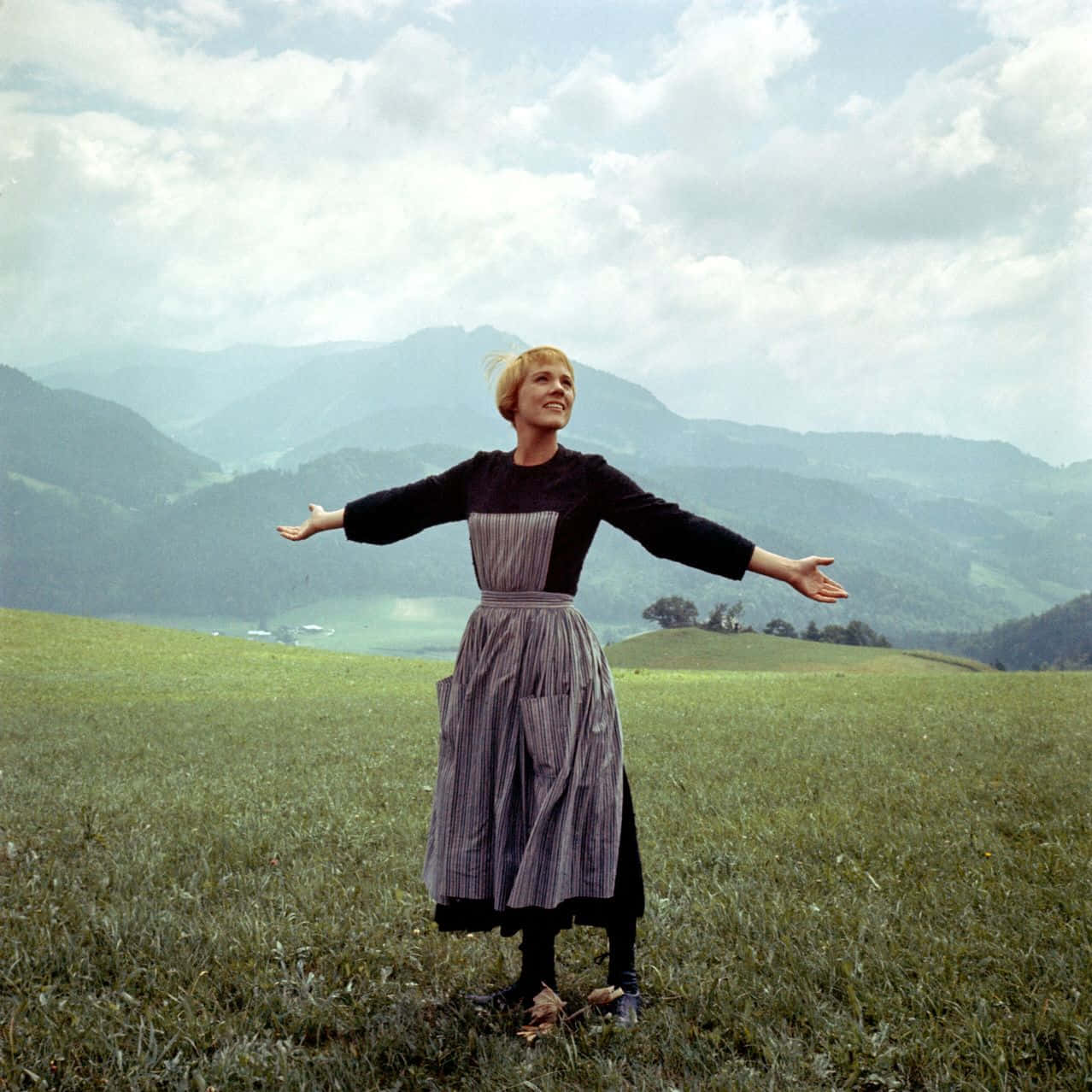 Sound Of Music_ Meadow Twirl Background