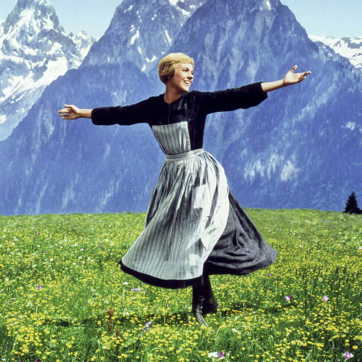 Sound Of Music Mountain Meadow Twirl Background