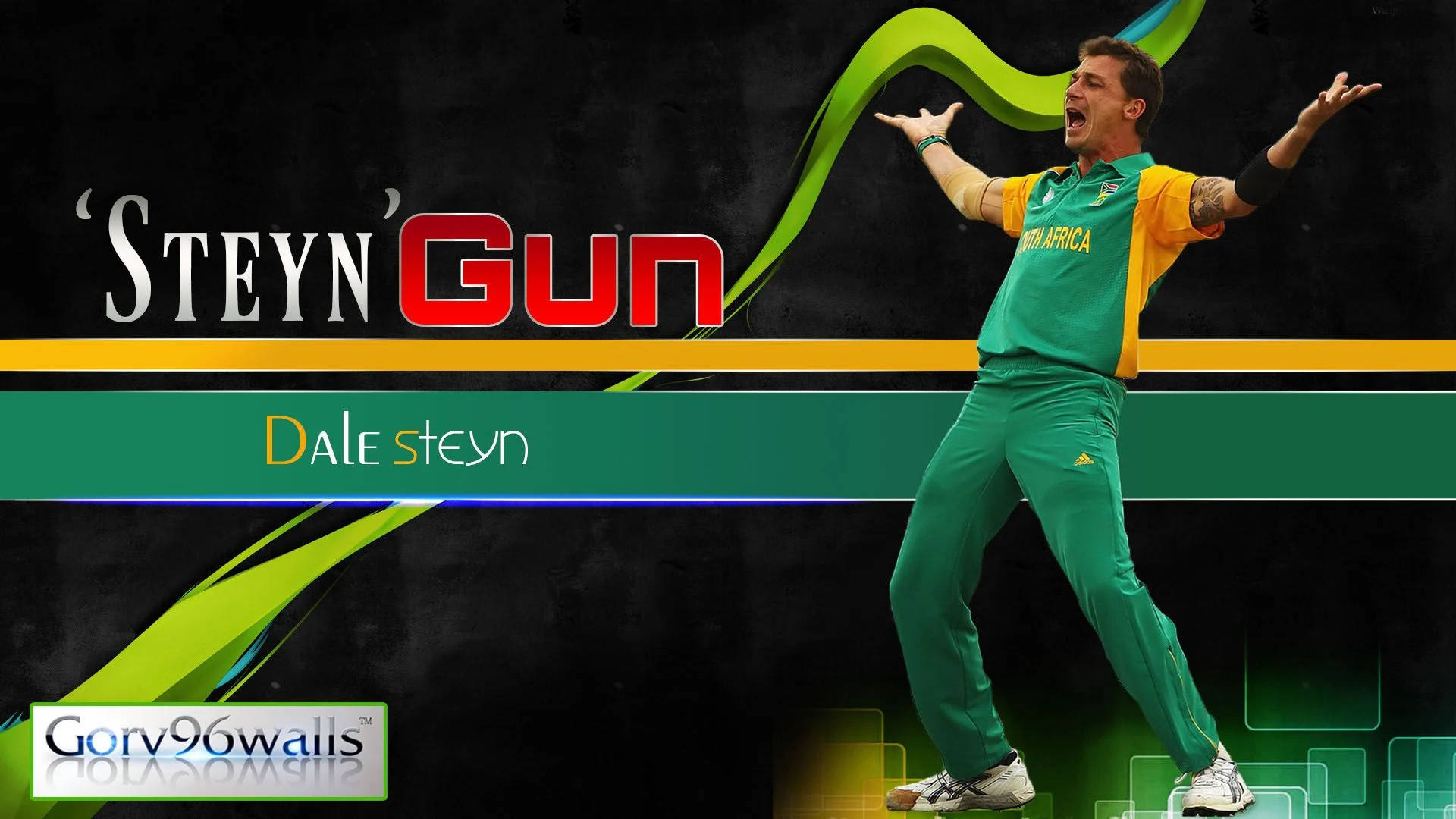 South Africa Cricket Dale Steyn Background