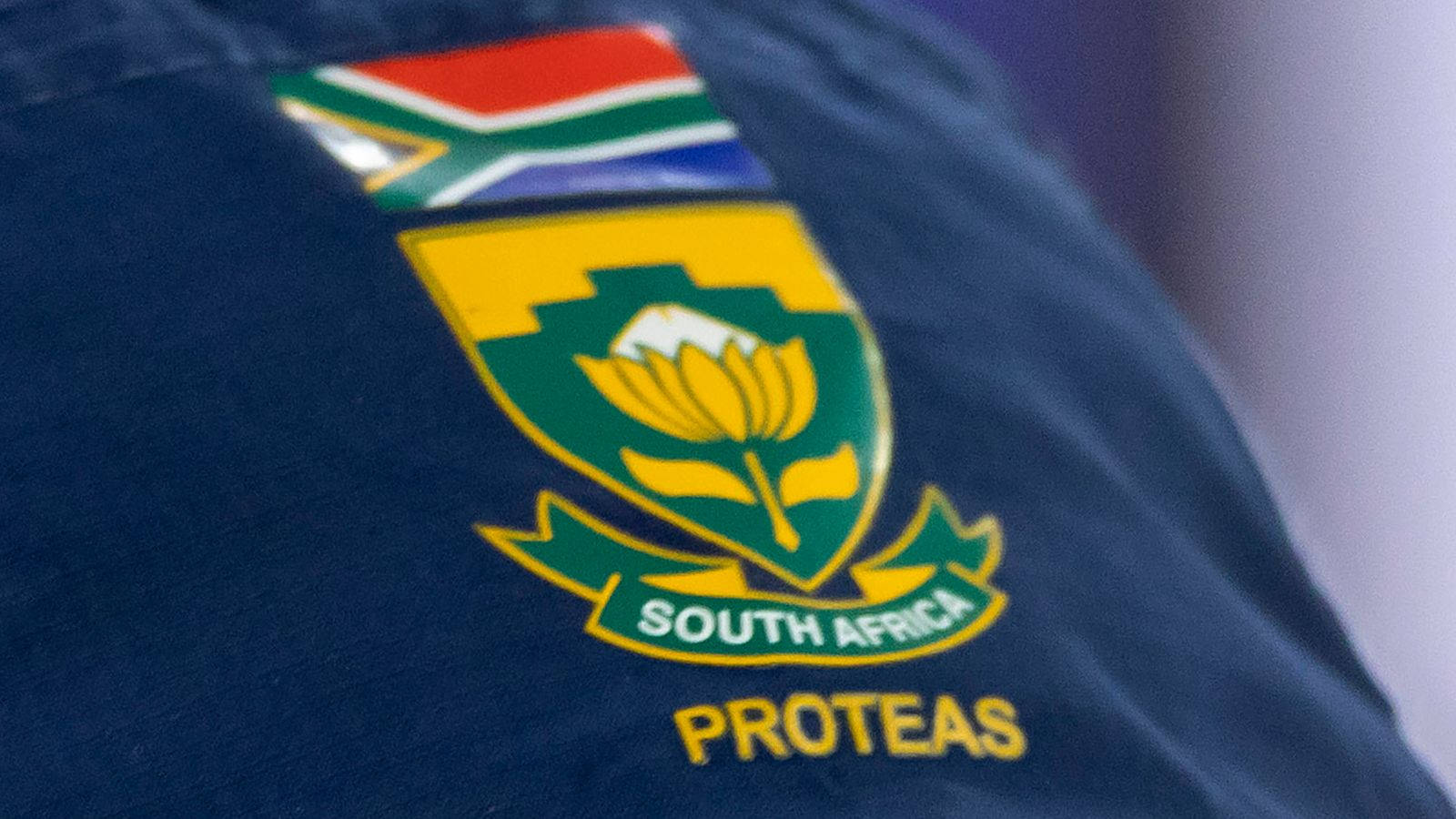 South Africa Cricket Logo In Shirt Background
