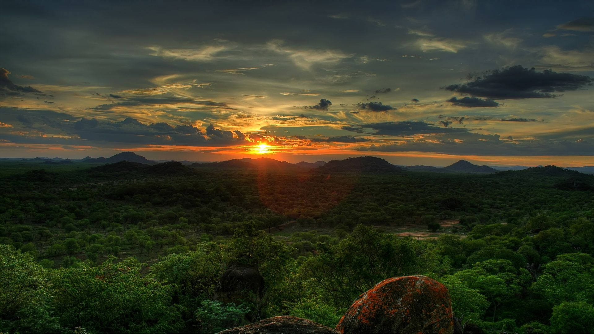 South Africa Jungle At Sunset Background
