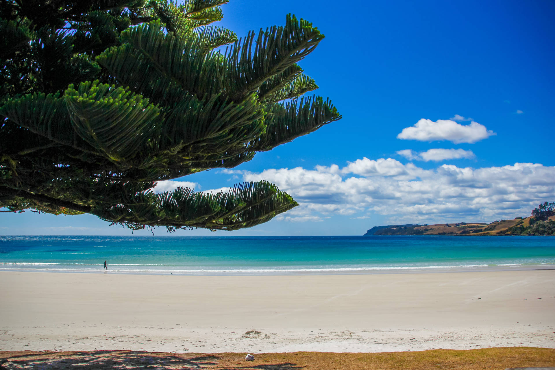 South Australia Ocean View Background