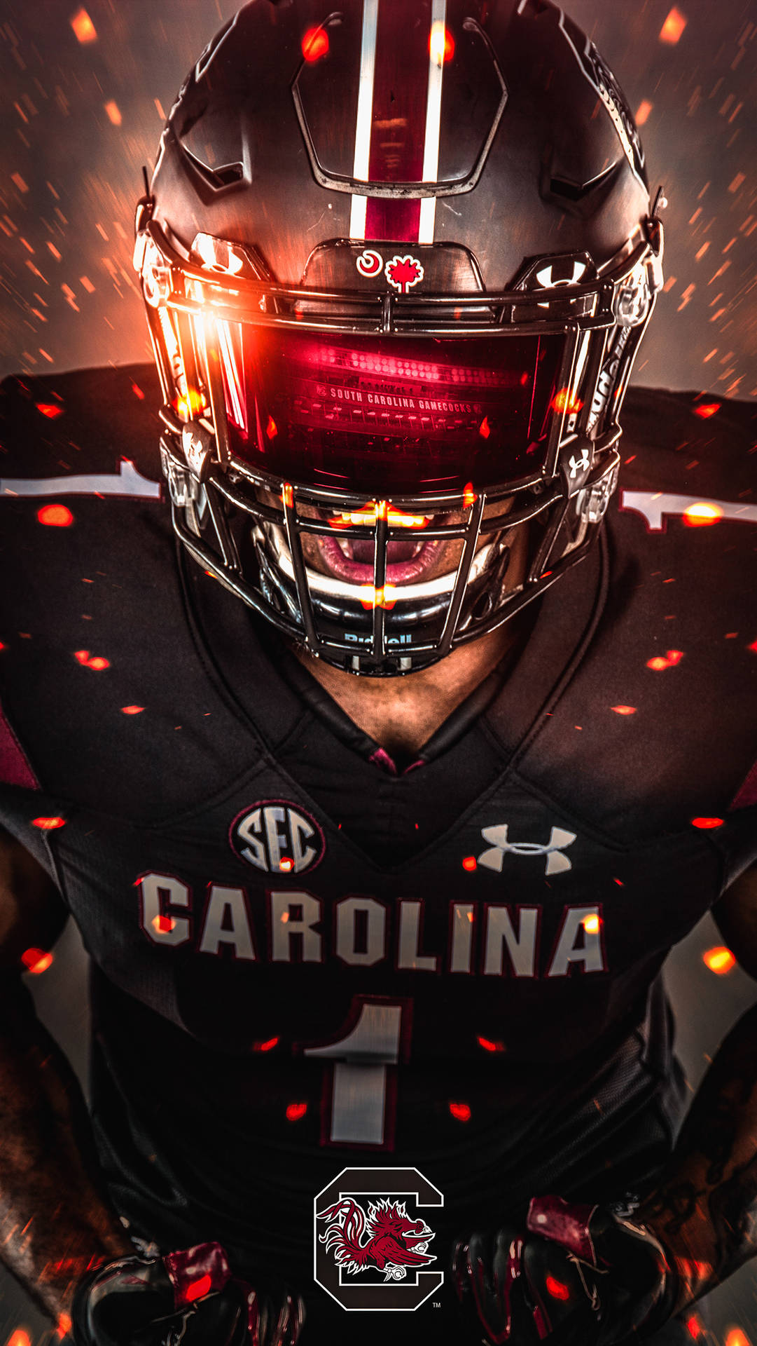 South Carolina Football Player Background