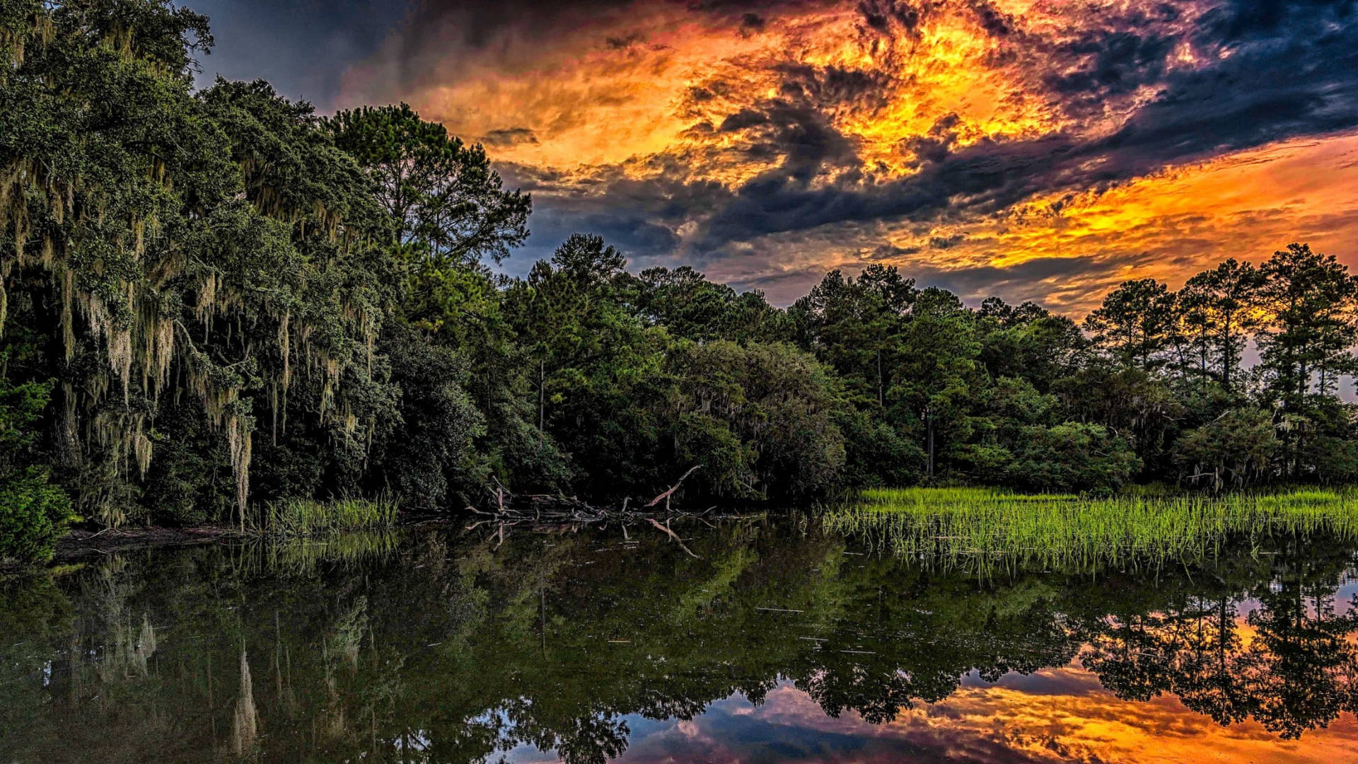 South Carolina Forest And Lake Background