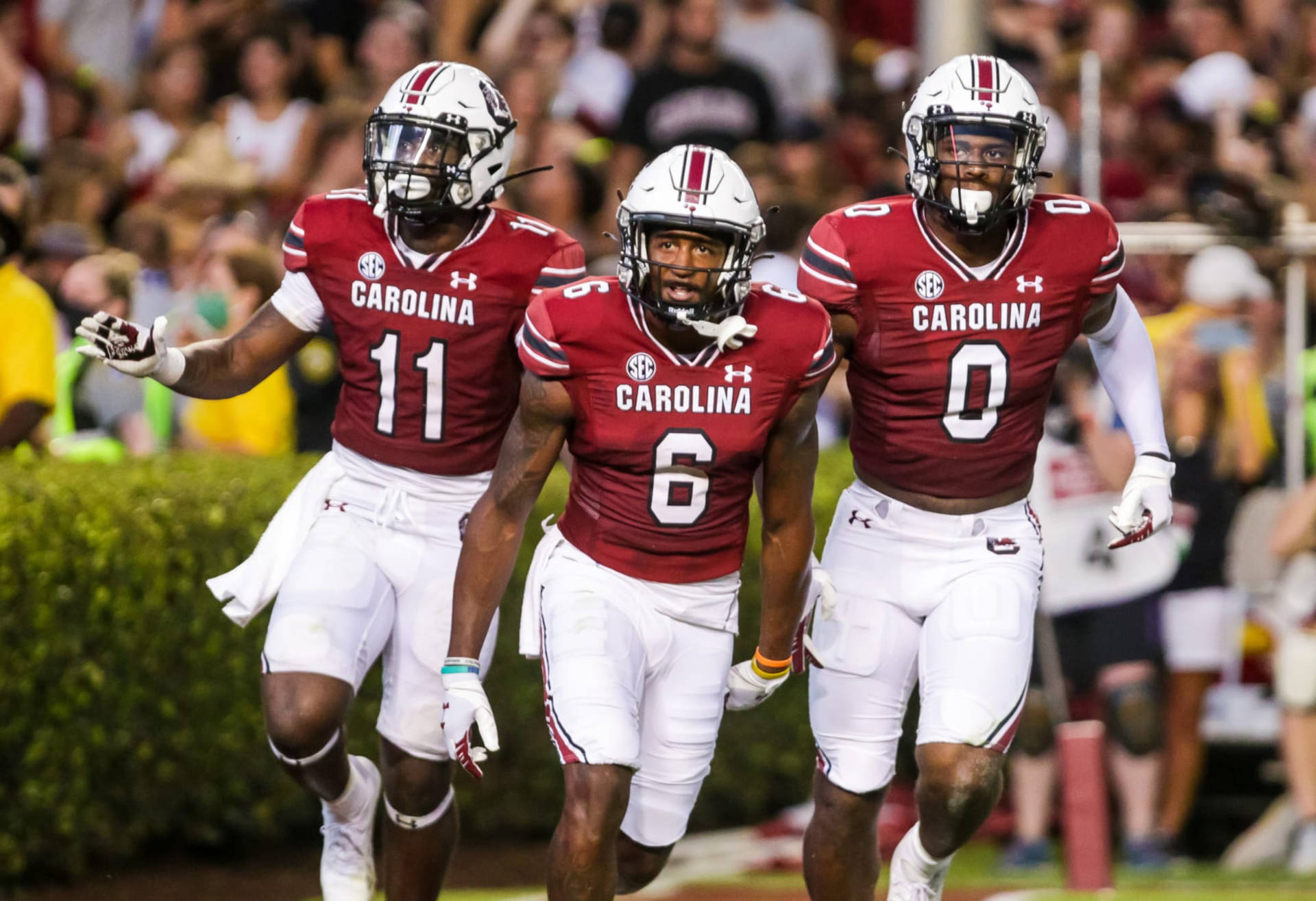 South Carolina Gamecocks Best Trio Team